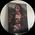 Thomas Comizio's profile picture